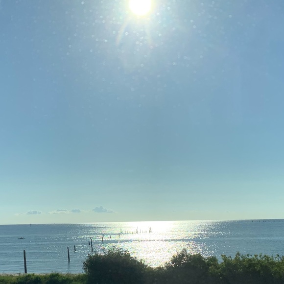 Meet your Posher, Mason - Picture 1 of 1